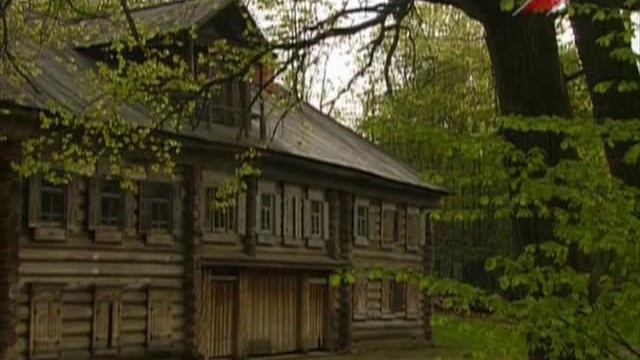 Сфагнум (болотный мох) смотреть онлайн