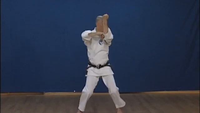 ВАДО - РЮ КАРАТЭ КАТА .... Jiro Otsuka sensei Naihanchi !!! .. смотреть онлайн
