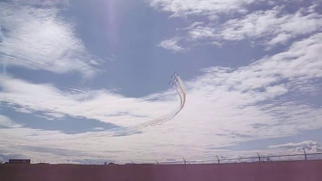 Snowbirds смотреть онлайн