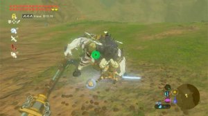 The Legend of Zelda Breath of the Wild (BOTW) Бой с Левром без получения урона