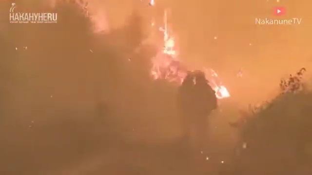 В Мордовском заповнднике пожарные и военные оказались в огненном кольце смотреть онлайн