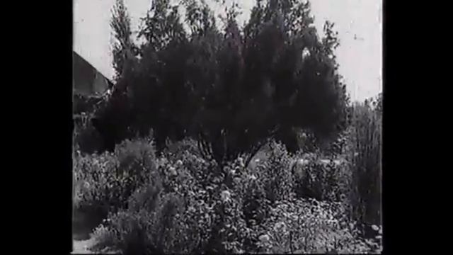 Leyla Sharipova (Лейла Шарипова) - Cheshm Berah - چشم براه - لیلا شریپووا