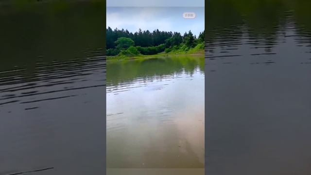 Лучшая рыбалка новым способом смотреть онлайн