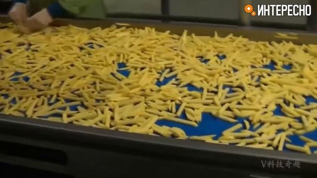 Как делают картофель ФРИ в промышленных масштабах. смотреть онлайн