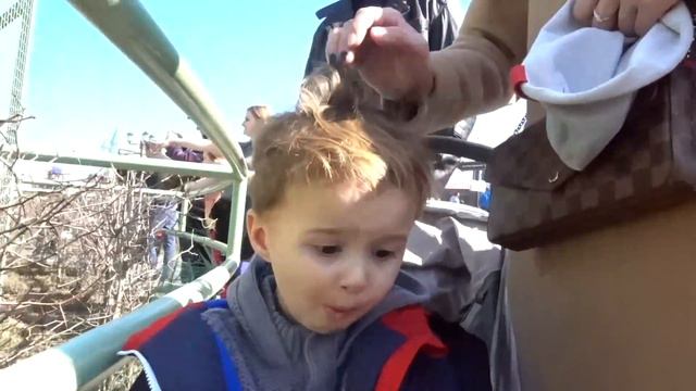 Зоопарк 12 місяців. Littleman Ostap втзоопарке. Литлмен Остап. смотреть онлайн