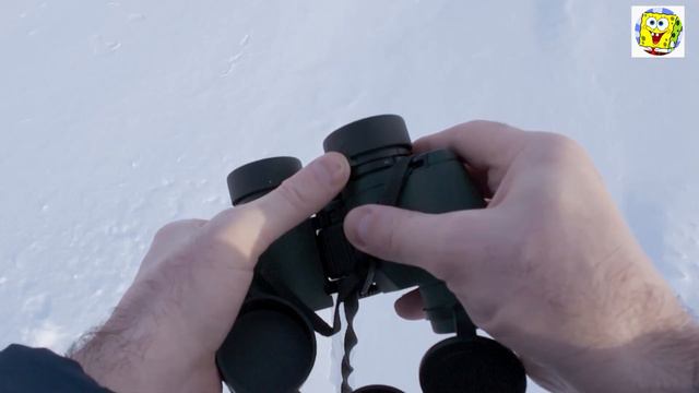 Обзор бинокля Levenhuk Sherman PRO 6.5x32. Отзыв спустя 2 года смотреть онлайн