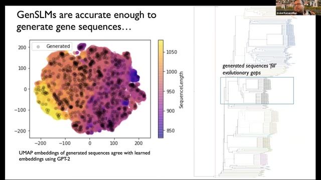 Modern Classification Networks смотреть онлайн
