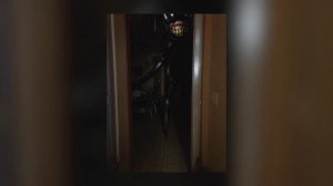 Вся информация о мультяшном коте | cartoon cat