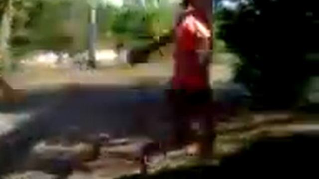 Мультик про бабочку смотреть онлайн