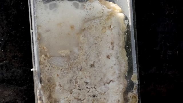 (ОПЫТНЫЙ ЭКСПЕРИМЕНТ) Самые распросраненные методы борьбы с ЗАСОРОМ смотреть онлайн