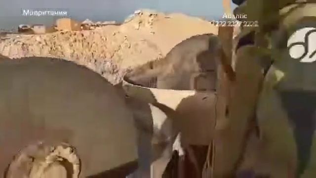 чеченцы в Мавритании где добывают золото смотреть онлайн