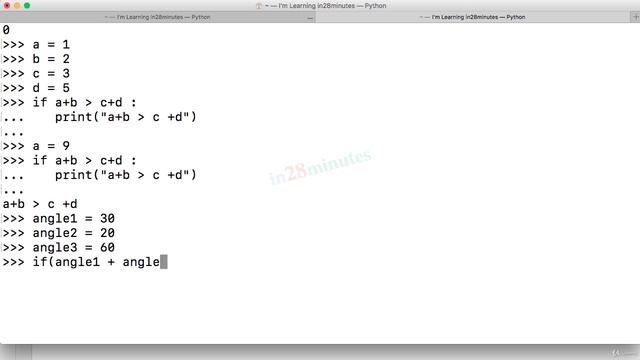 (Learn Programming With Python) 46-Step 06-Introduction to If Condition-Exercises смотреть онлайн