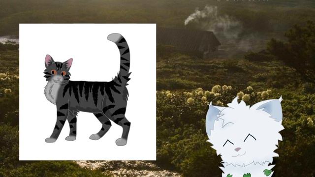 КОТЫ-ВОИТЕЛИ: ГЕНЕРАТОР ПЛЕМЁН ЧЕЛЛЕНДЖ ЧАСТЬ 1 #котывоители #вреки #врек #warriorcats #возродимрук смотреть онлайн