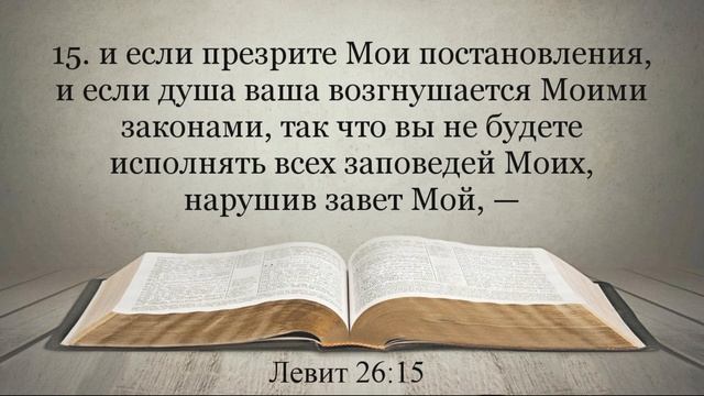 Лучшая Видео Библия. Чтение Левит. Главы 25-27. Синодальный перевод смотреть онлайн