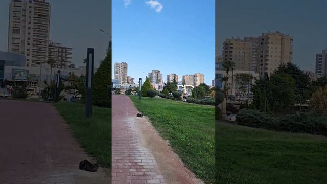 КРАСИВЫЙ РАЙОН МЕРСИНА ! #турция #мерсин #мерсинтурция #море смотреть онлайн