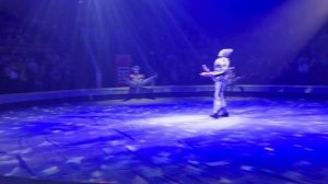 ВОРОНЕЖСКИЙ ЦИРК 14 0123Г. ПЕСЧАНАЯ СКАЗКА