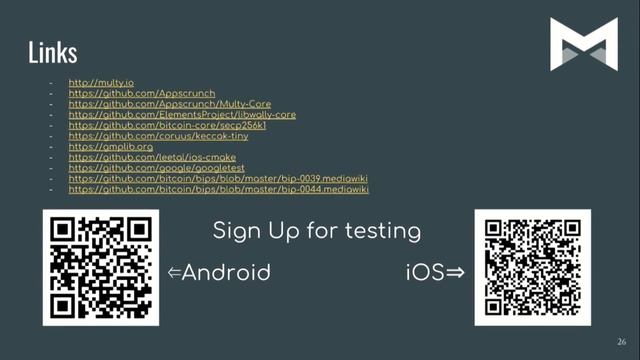 Ядро блокчейн-кошелька Multy, Василий Немков | Blockchain Development смотреть онлайн