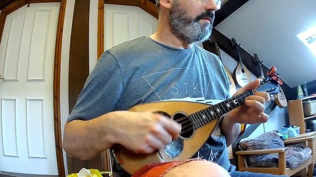 Tarantella Potenzese (trad. Italian dance), on mandolins смотреть онлайн