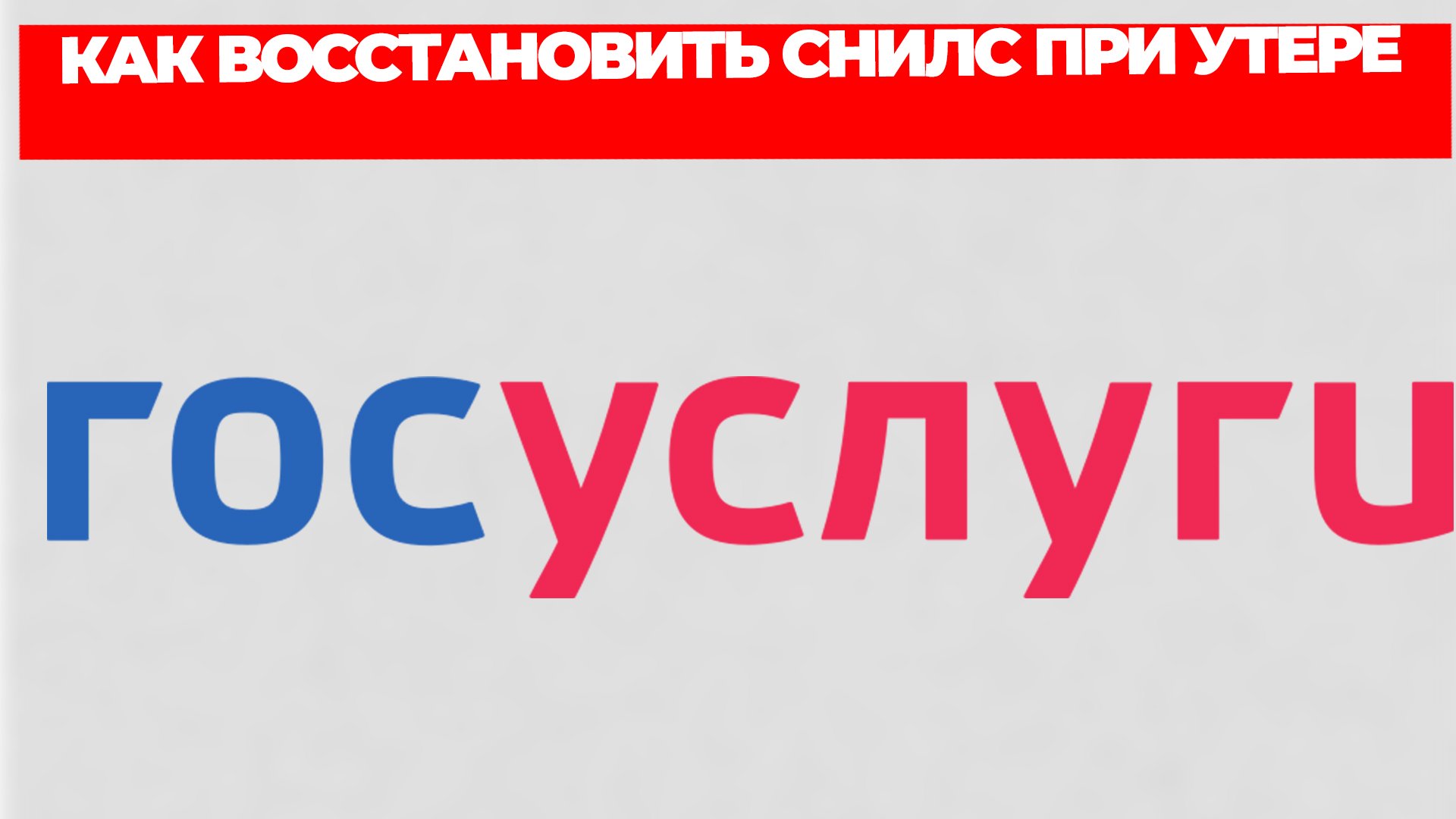 Всезнающий Енот