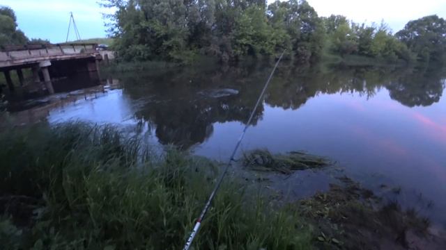 ЧЕТЫРЕ ГУСЯ-ЛЕБЕДЯ И ОГРОМНЫЕ ГОЛОВЛИ!!!!!!!! смотреть онлайн