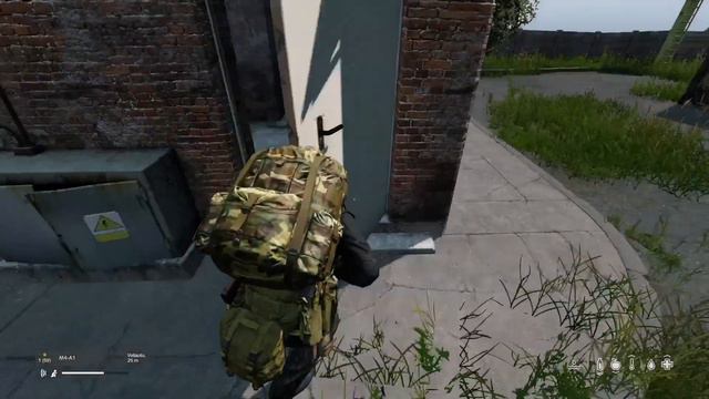 DayZ PS4 Bot/NPC gefunden. смотреть онлайн