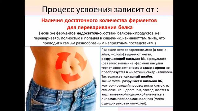 Тема 5 БЕЛОК ПРОТЕИН смотреть онлайн