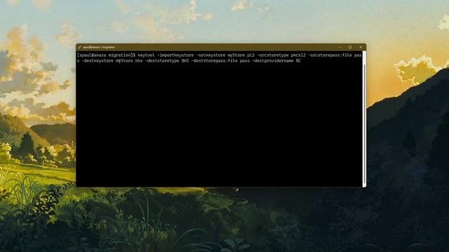 Java Keytool Tutorial : Part 3 - Migrating a KeyStore смотреть онлайн