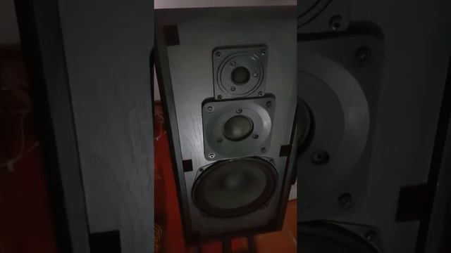 Dual CL 9040 Special Edition смотреть онлайн