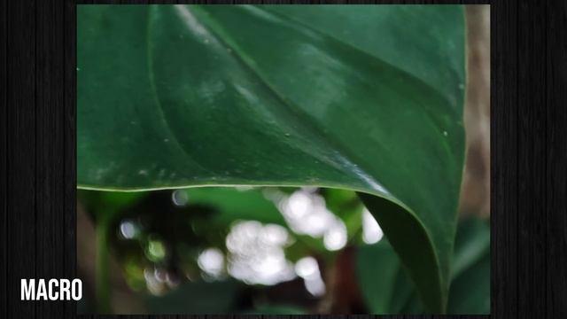 3.6jt! Mi 11 Lite Hands On, Camera & Antutu Benchmark Test! смотреть онлайн