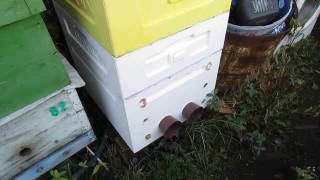 пополнение кормовых запасов пчелам в ноябре - ставлю магазиннные рамки с медом смотреть онлайн