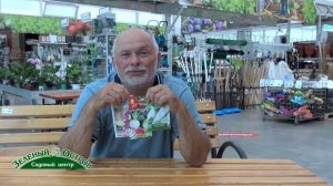 Июль   оптимальное время для посадки репы, редьки, брюквы, агротехника выращивания этих культур