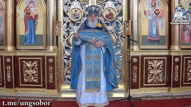 Взирая вѣрою на Крест Христов, укусы змѣй нам не страшні. 24.09.2023, прот. Димитрій Сидор смотреть онлайн