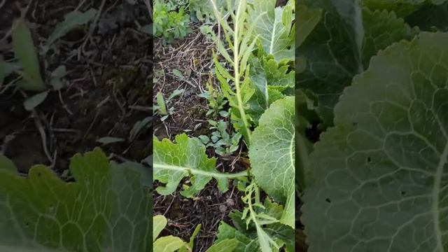 Ремонт и Строительство