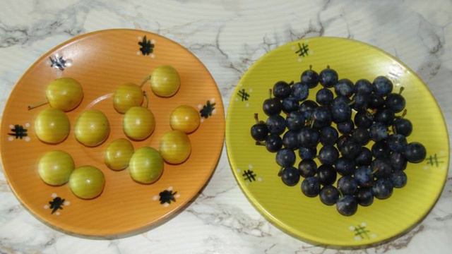 1000 и 1 рецепт