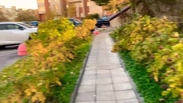 Всем доброго и прекрасного утра пошли прогуляться 27.1.+0 вот такая утренняя прогулка светит солнце смотреть онлайн