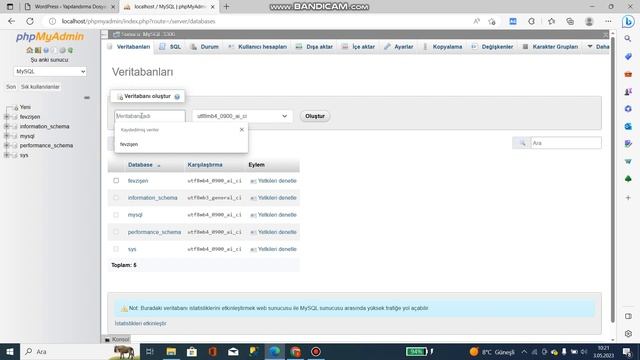 Wamp Server ile Localhost Wordpress Kurulumu Ödevi(Fevzi Şen 214309019) смотреть онлайн