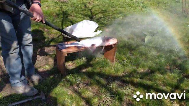 Как почистить рыбу без ножа с помощью автомойки смотреть онлайн