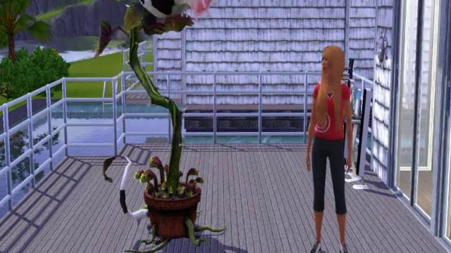 Sims 3 Store: Laganaphyllis Simnovorii (aka The Cow Plant) смотреть онлайн