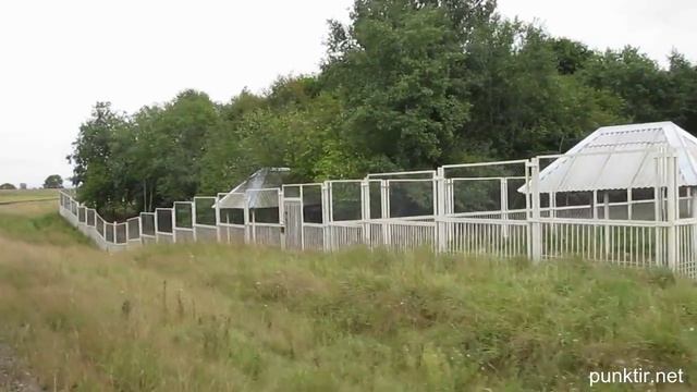 Узкоколейка Могилёвского зоосада смотреть онлайн