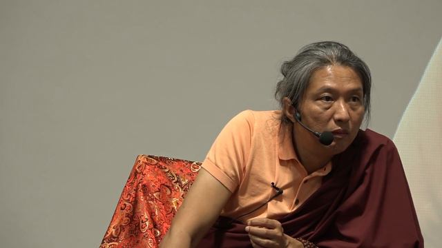 Гьетрул Джигме Ринпоче. Достижение духовной и социальной реализации