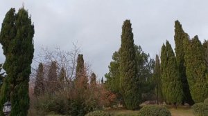 ГЕЛЕНДЖИК...Обзор территории санатория СОЛНЕЧНЫЙ БЕРЕГ... декабрь 2018...