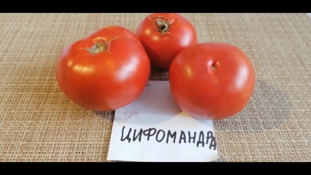 ??СНОВА ПОСАЖУ ЭТИ ТОМАТЫ. ТОП-5 ЛУЧШИХ ТОМАТОВ СЕЗОНА смотреть онлайн