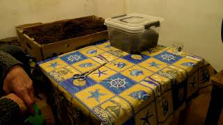 Увлажнение Табака - три простых способа. смотреть онлайн