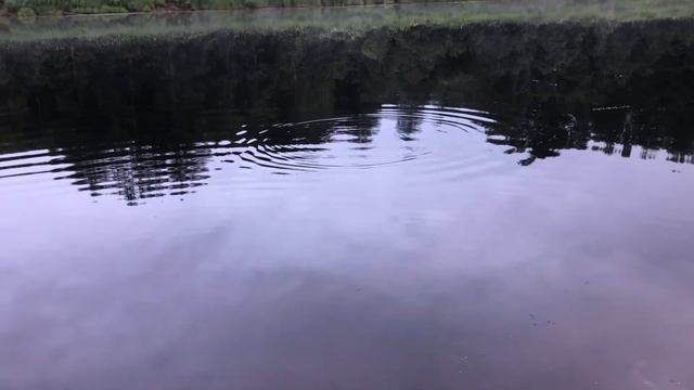 Моя первая рыбалка на реке Кубена! Я был в восторге!) смотреть онлайн