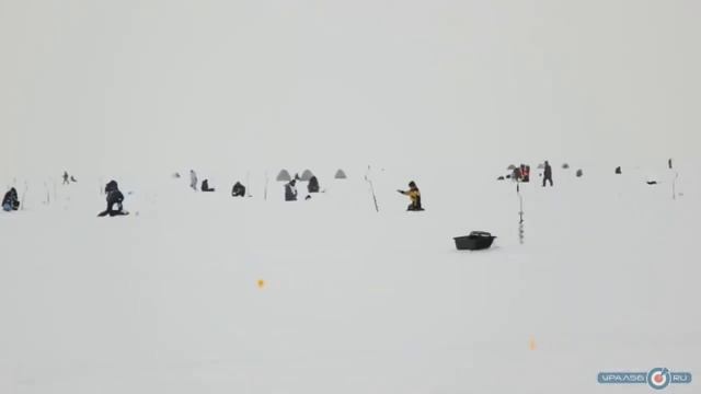 'Клевый Шансон 2014' в Орске смотреть онлайн