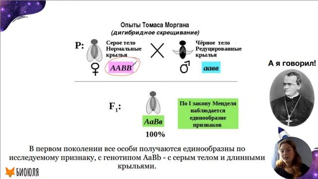 Летняя школа | Генетика (сцепленное наследование) смотреть онлайн