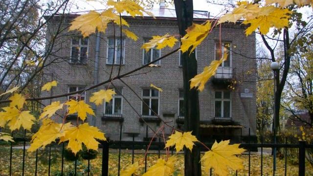 Выборгский район﻿ смотреть онлайн