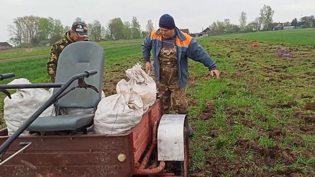Посадка картошки под плуг и мотоблок смотреть онлайн