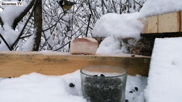 О, у вас сало в меню появилось? Мы это будем, но только без соли. смотреть онлайн