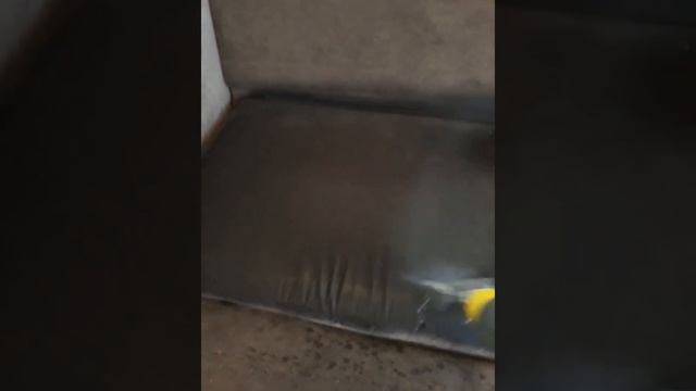 Аренда моющего пылесоса в Самаре. смотреть онлайн